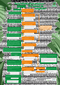 Poster „Social-Media-Kommentare – Wie kannst du reagieren?“ Bildquelle: regenwald-schuetzen.org