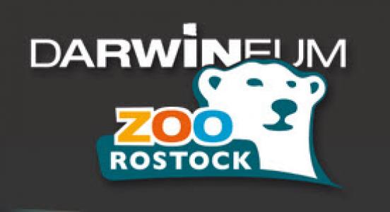 Schriftzug Zoo Rostock, DARWINEUM und gezeichneter Eisbärenkopf. Logo des Zoo Rostock mit DARWINEUM. Quelle: zoo-rostock.de