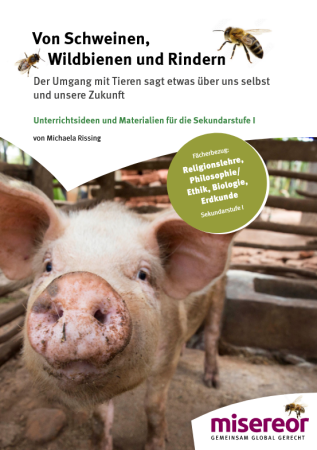 Bild eines Schweines im Stall, das die Schauze zur Kamera hält. Titelseite Bildungsmaterial "Von Schweinen, Wildbienen und Rindern". Quelle und Rechte: Misereor e. V.