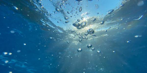 Wasserblasen. Foto von J K auf Unsplash 