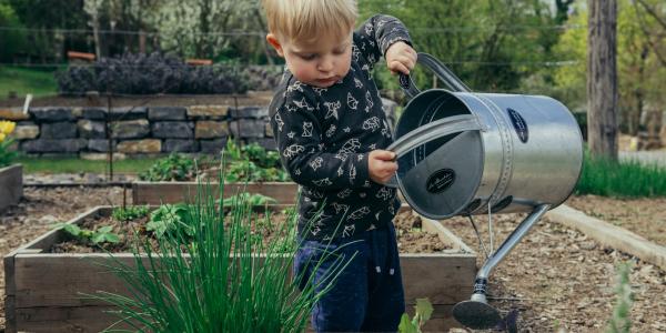 Kleinkind gießt mit einer Metallkanne Wasser auf Pflanzen in einem Hochbeet. Es steht im Garten, konzentriert bei der Pflege junger Gemüse- oder Kräuterpflanzen, umgeben von weiteren Beeten und Bäumen.