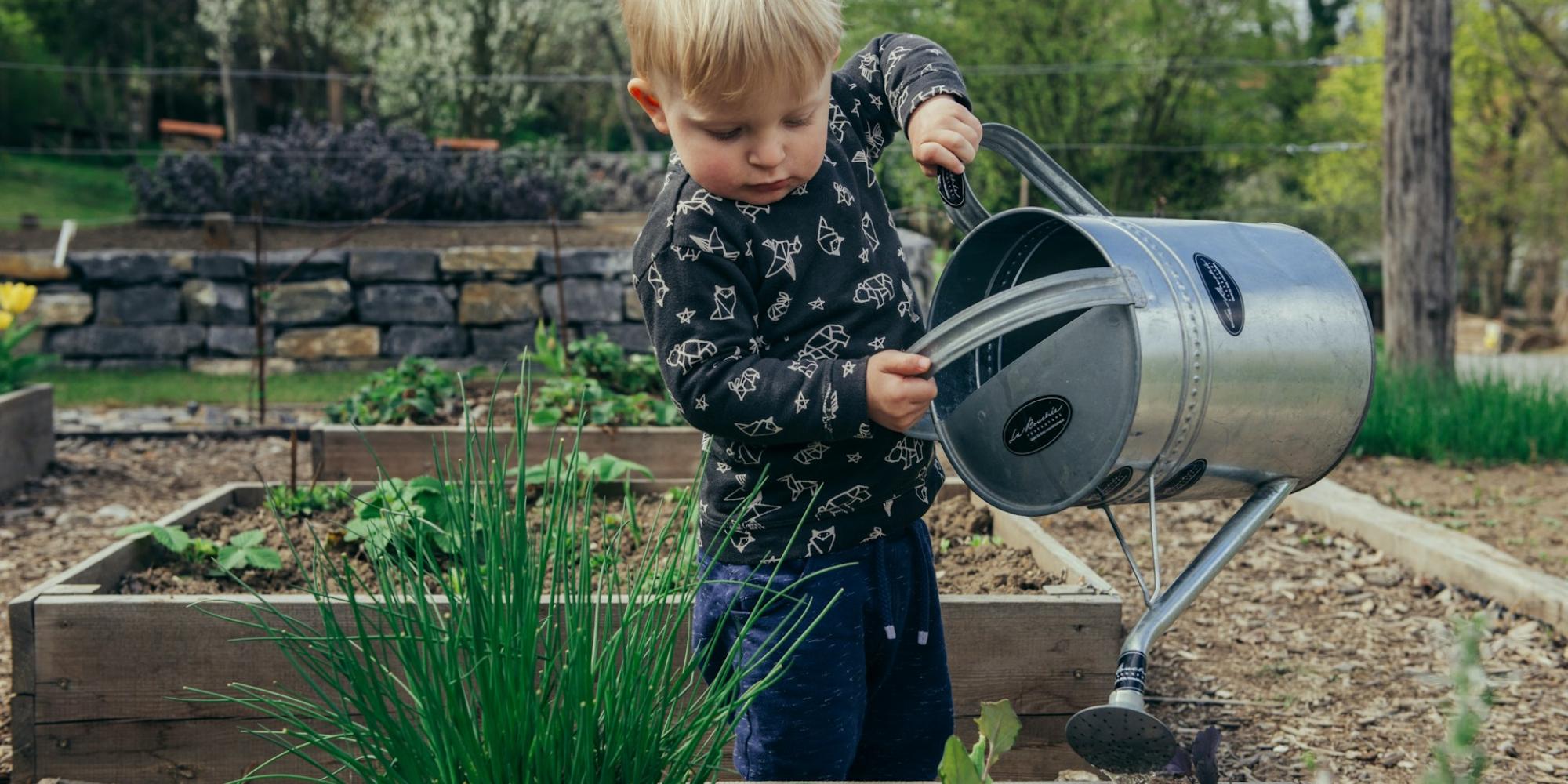 Kleinkind gießt mit einer Metallkanne Wasser auf Pflanzen in einem Hochbeet. Es steht im Garten, konzentriert bei der Pflege junger Gemüse- oder Kräuterpflanzen, umgeben von weiteren Beeten und Bäumen.