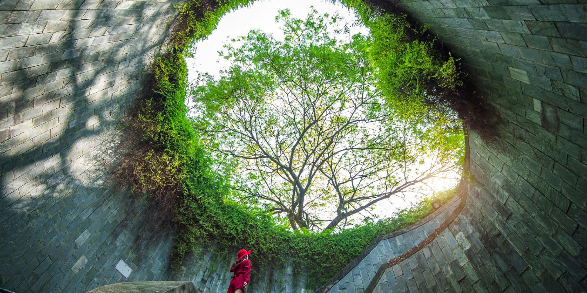 Blick aus einem großen, trichterförmigen Bauwerk nach oben zu einem von Pflanzen umrahmten Lichtschacht. In der Mitte wächst ein Baum; auf einer geschwungenen Treppe steht eine Person in roter Kleidung und blickt nach oben.